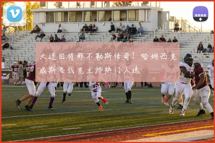 大连旧将那不勒斯传奇！哈姆西克成斯洛伐克主帅热门人选